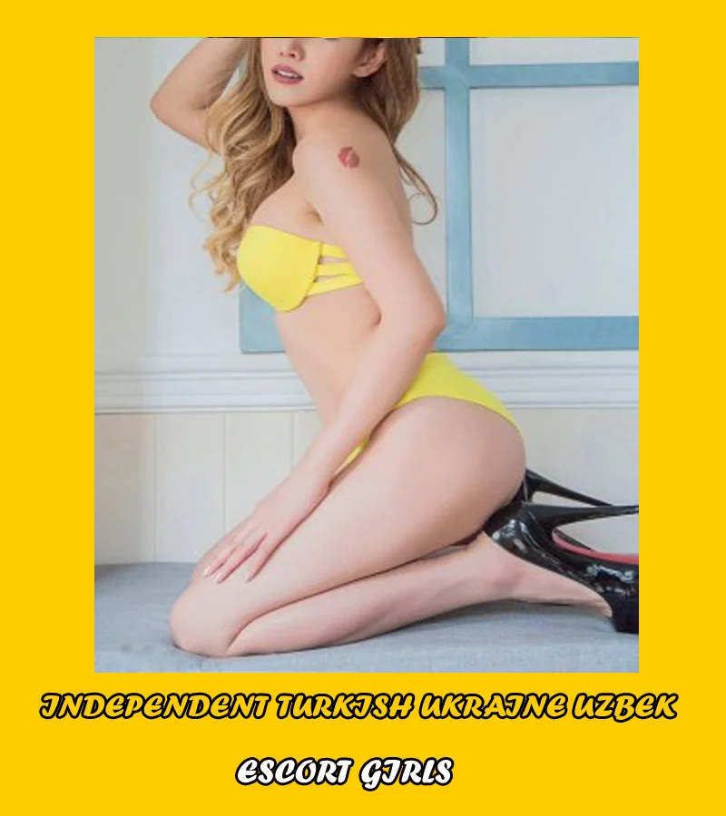 Mumbai Busty Escort Services